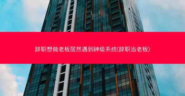 辞职想做老板居然遇到神级系统(辞职当老板)