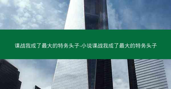 谍战我成了最大的特务头子-小说谍战我成了最大的特务头子