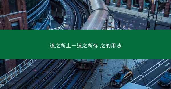 道之所止—道之所存 之的用法