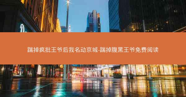 踹掉疯批王爷后我名动京城-踹掉腹黑王爷免费阅读