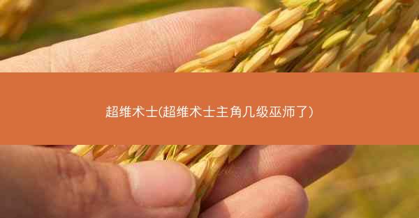 超维术士(超维术士主角几级巫师了)
