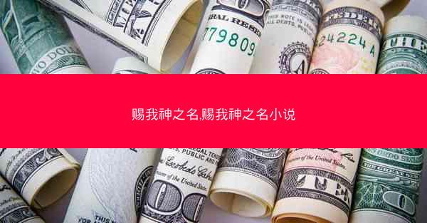 赐我神之名,赐我神之名小说