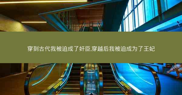 穿到古代我被迫成了奸臣,穿越后我被迫成为了王妃