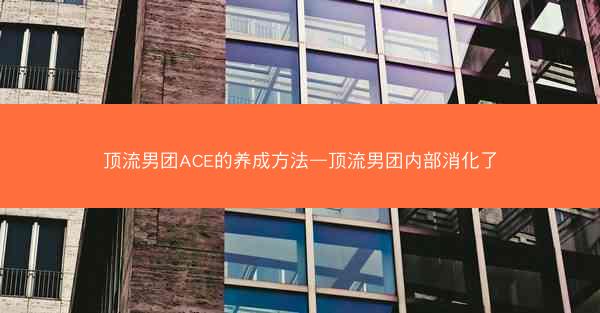 顶流男团ACE的养成方法—顶流男团内部消化了