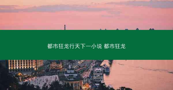 都市狂龙行天下—小说 都市狂龙