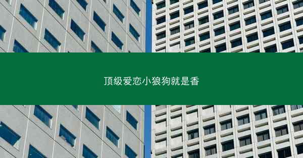 顶级爱恋小狼狗就是香