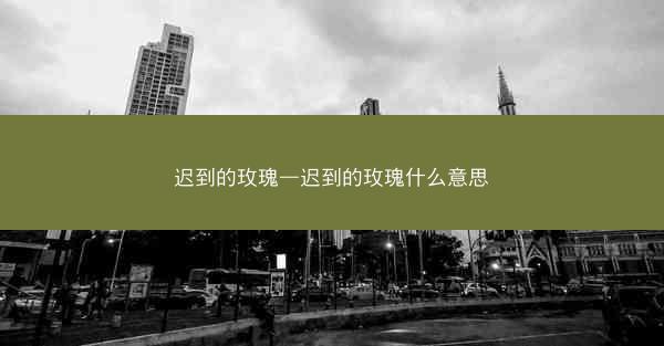 迟到的玫瑰—迟到的玫瑰什么意思