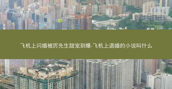 飞机上闪婚被厉先生甜宠到爆-飞机上退婚的小说叫什么