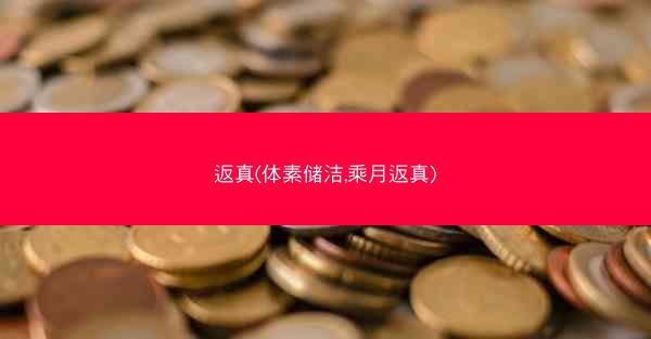 返真(体素储洁,乘月返真)