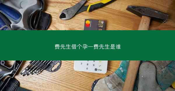 费先生借个孕—费先生是谁