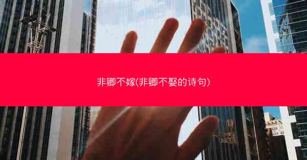 非卿不嫁(非卿不娶的诗句)