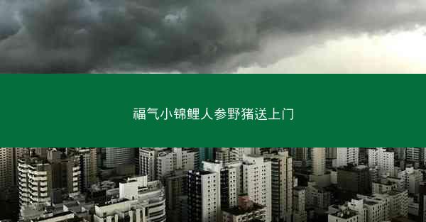 福气小锦鲤人参野猪送上门
