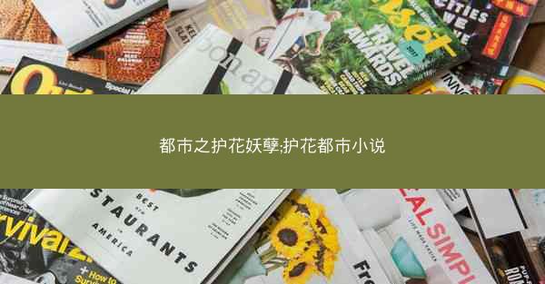 都市之护花妖孽;护花都市小说