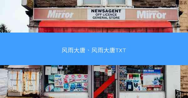 风雨大唐、风雨大唐TXT