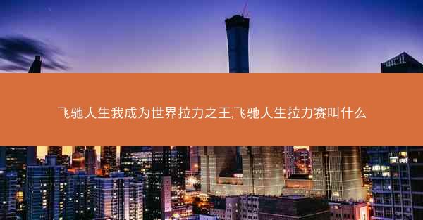 飞驰人生我成为世界拉力之王,飞驰人生拉力赛叫什么