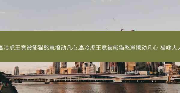 高冷虎王竟被熊猫憨崽撩动凡心,高冷虎王竟被熊猫憨崽撩动凡心 猫咪大人