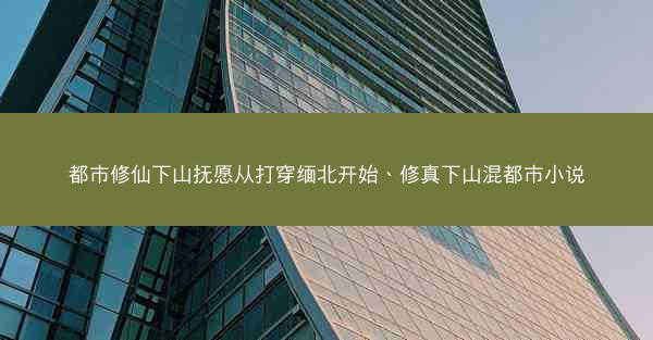 都市修仙下山抚愿从打穿缅北开始、修真下山混都市小说