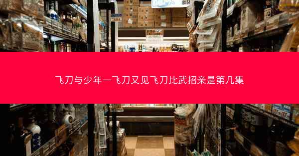 飞刀与少年—飞刀又见飞刀比武招亲是第几集