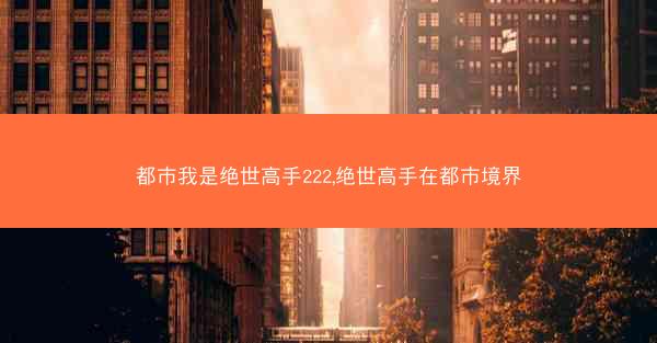 都市我是绝世高手222,绝世高手在都市境界