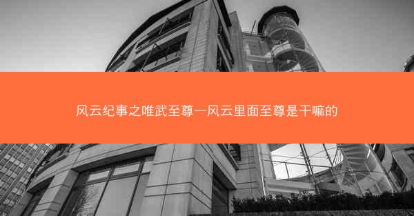 风云纪事之唯武至尊—风云里面至尊是干嘛的