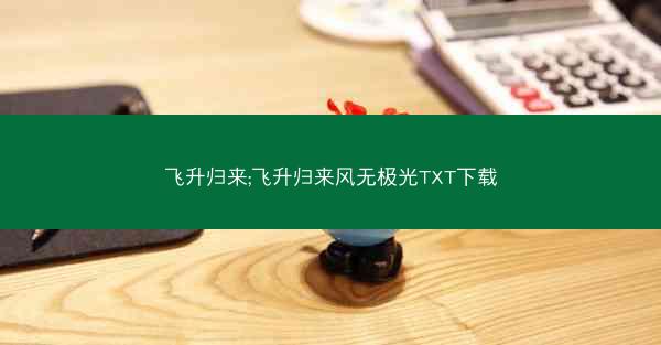 飞升归来;飞升归来风无极光TXT下载