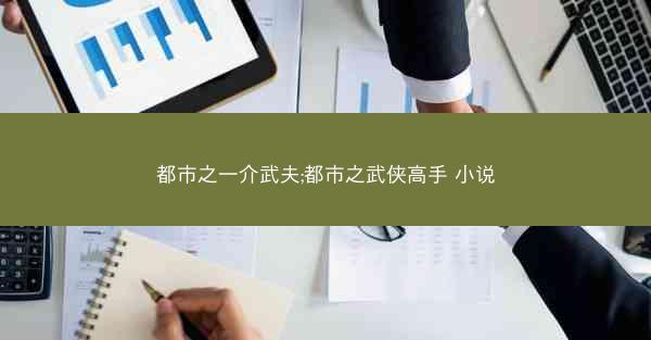 都市之一介武夫;都市之武侠高手 小说