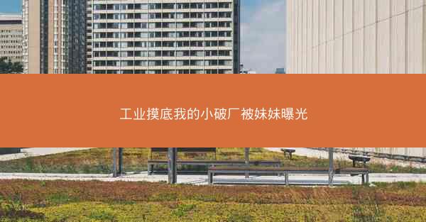 工业摸底我的小破厂被妹妹曝光