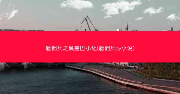 雇佣兵之黑曼巴小组(雇佣兵by小说)
