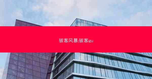 骇客风暴;骇客gu