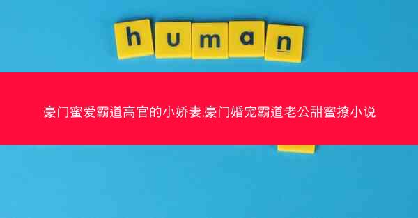 豪门蜜爱霸道高官的小娇妻,豪门婚宠霸道老公甜蜜撩小说