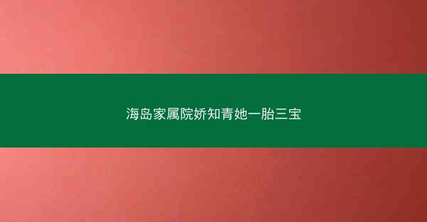 海岛家属院娇知青她一胎三宝