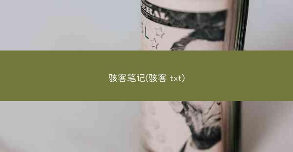骇客笔记(骇客 txt)