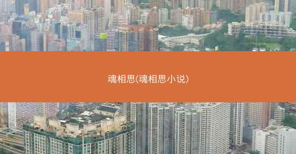 魂相思(魂相思小说)