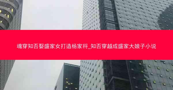 魂穿知否娶盛家女打造杨家将_知否穿越成盛家大娘子小说