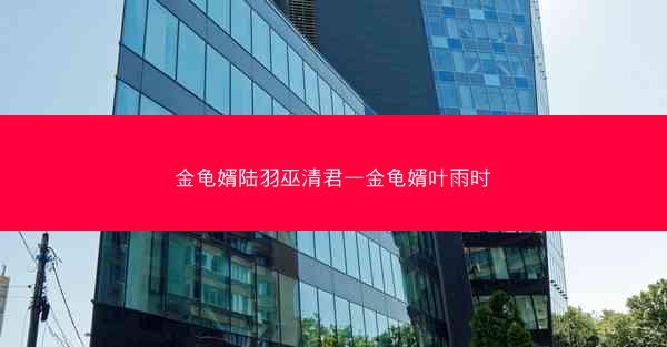 金龟婿陆羽巫清君—金龟婿叶雨时