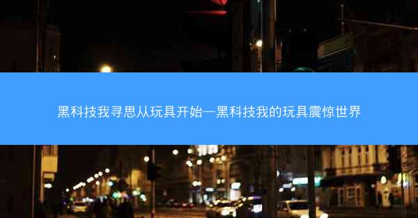 黑科技我寻思从玩具开始—黑科技我的玩具震惊世界
