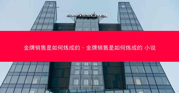 金牌销售是如何炼成的、金牌销售是如何炼成的 小说