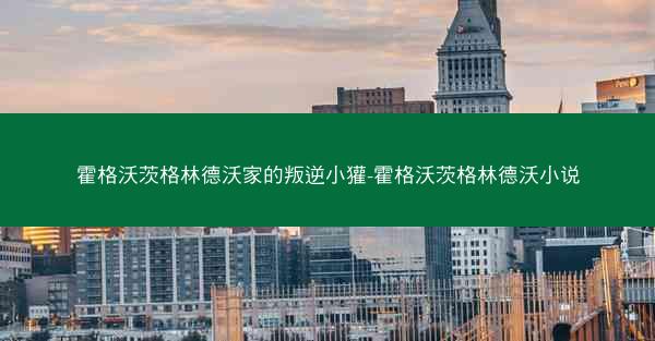 霍格沃茨格林德沃家的叛逆小獾-霍格沃茨格林德沃小说