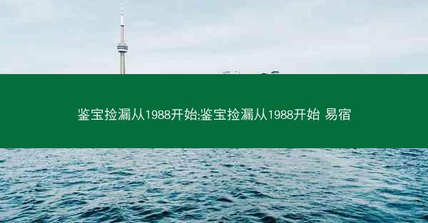 鉴宝捡漏从1988开始;鉴宝捡漏从1988开始 易宿