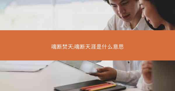 魂断焚天;魂断天涯是什么意思