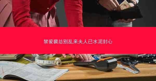 禁爱裴总别乱来夫人已水泥封心