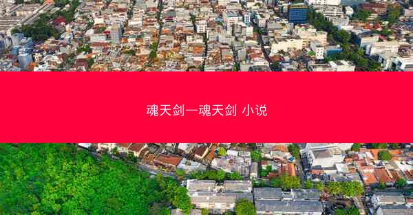 魂天剑—魂天剑 小说