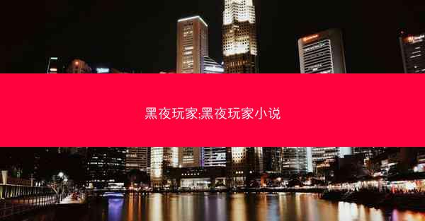 黑夜玩家;黑夜玩家小说