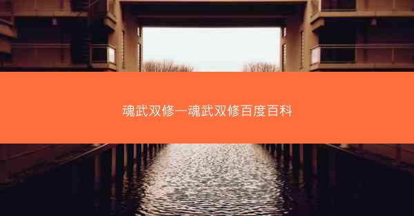 魂武双修—魂武双修百度百科