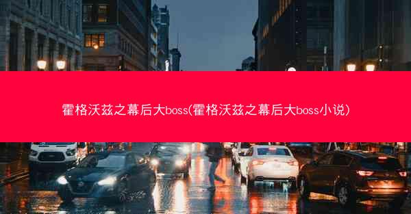 霍格沃兹之幕后大boss(霍格沃兹之幕后大boss小说)