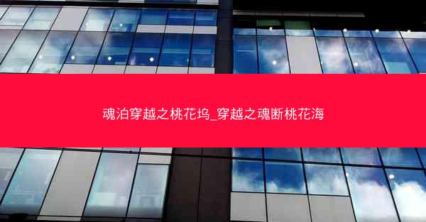魂泊穿越之桃花坞_穿越之魂断桃花海