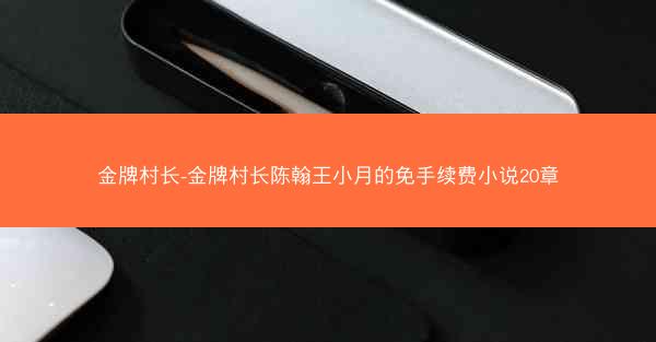 金牌村长-金牌村长陈翰王小月的免手续费小说20章