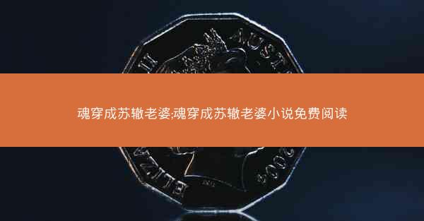 魂穿成苏辙老婆;魂穿成苏辙老婆小说免费阅读