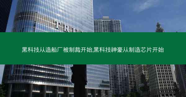 黑科技从造船厂被制裁开始,黑科技神豪从制造芯片开始