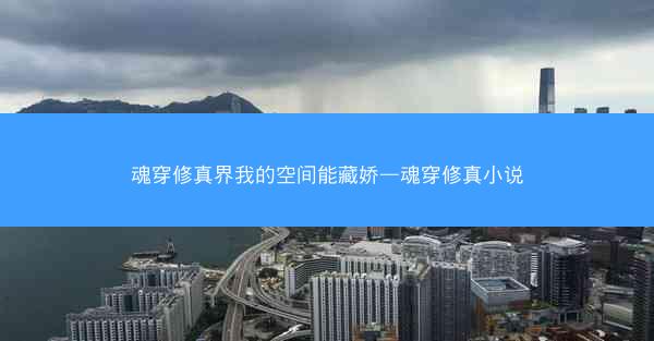 魂穿修真界我的空间能藏娇—魂穿修真小说